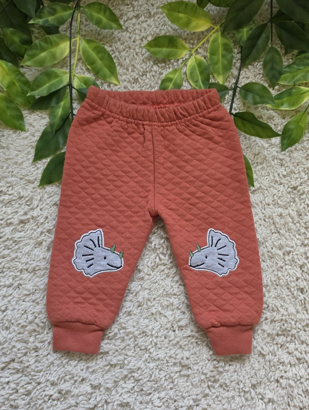Baby Boy Triceratops Pants (0-3 Months)